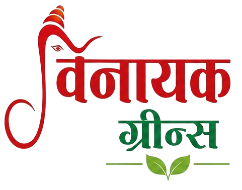 Vinayak Greens logo