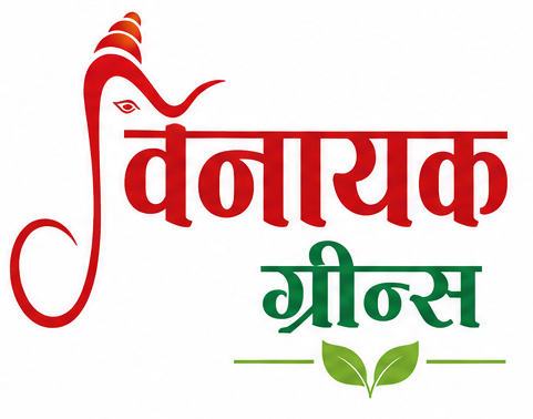 Vinayak Greens logo